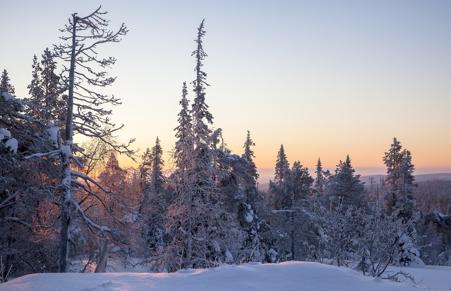 Rovaniemi Laponia Finlandia